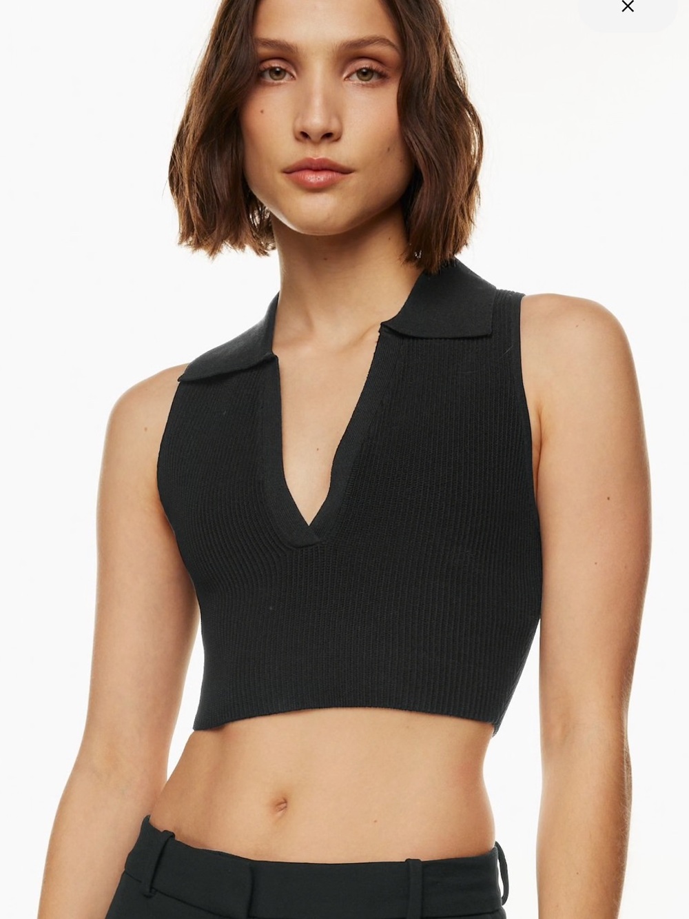 Aritzia Babaton Sculpt Knit Polo Top